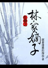红楼之林家嫡子杀疯了免费阅读