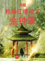 开局被秦红棉破了金钟罩免费全文阅读