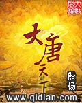 大唐天下网络科技有限公司2025年运营状况