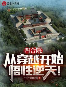 悟性逆天!_