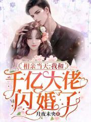 我和千亿大佬闪婚了