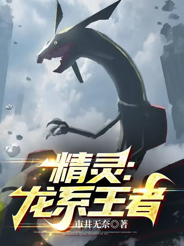 精灵龙系王者免费阅读TXT
