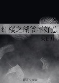 红楼之三爷不二全文阅读