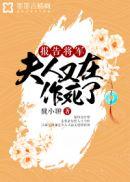 夫人又在打官司结局