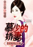 史上第一宠婚慕少的娇妻全文免费阅读