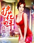 护花高手在都市全文免费