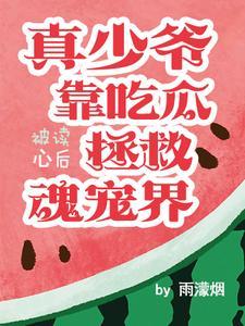 少爷作者