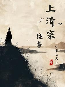 上清宗往事有几部