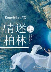 情迷柏林小说笔趣阁全文免费阅读