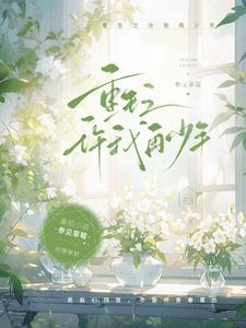 重生之再许芳华全文阅读