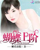 蝴蝶 zlc