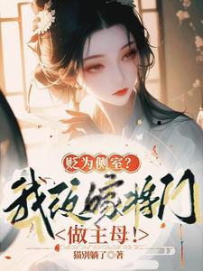 民国少帅夜夜洗床单