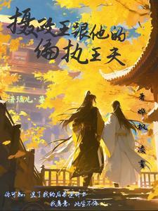 摄政王和王爷的