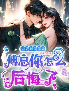 傅总你怎么后悔了全文阅读