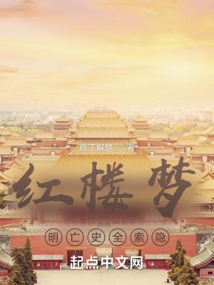 红楼梦明亡史全索隐庖丁解梦著全文