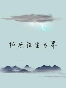 往生极乐世界的品味