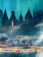 成神风暴百科