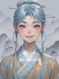 系统林枫
