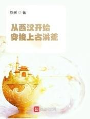 穿越西汉的有哪些