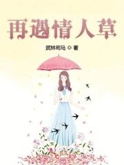 再见情人桥歌词