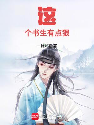 这个书生有点狠txt电子书
