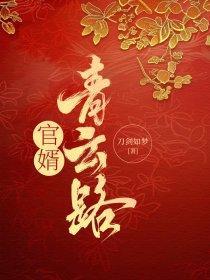 王大勇李梦兰官婿青云路