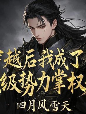 穿越后我成了顶级势力掌权人免费完整版