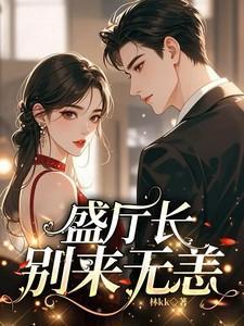 盛厅长别来无恙免费完整版