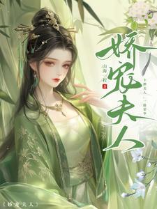 娇宠夫人txt电子书