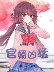 官婿凶猛赵阳秦雨柔最新章节免费阅