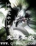 圣光出什么装备