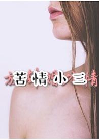 总裁与小三的疯狂日常小说