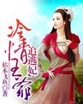 冷情王爷追逃妃枯木飞鱼