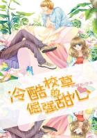 冷酷校草的嚣张丫头