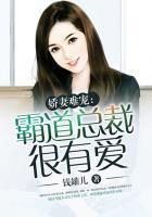 总裁霸道娇妻乖乖受宠全文免费阅读