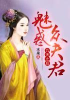 九天之后魅惑众夫君h