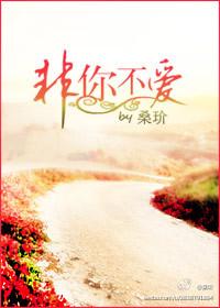 非你不爱全部歌词