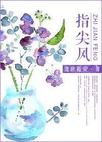 指尖风靡珑绿讲的什么