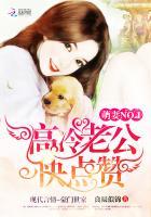 高冷老公呆萌妻免费版