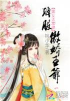 女婢少爷