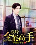 最强巅峰高手