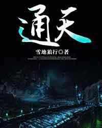 通天河老鼋