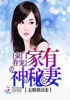 豪门枭宠之神秘老婆免费阅读