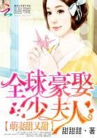 全球豪娶少夫人笔趣阁