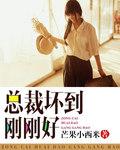 总裁很坏很坏