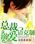 专情总裁溺爱妻