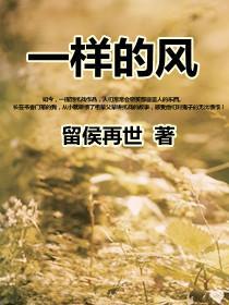 一样的风一样的你