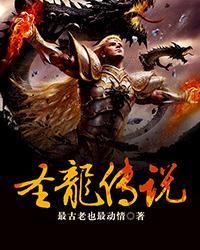 圣龙传奇第29集