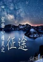 宠物小精灵之冠军全文阅读