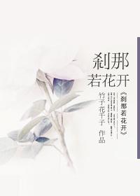 刹那芳华什么意思?